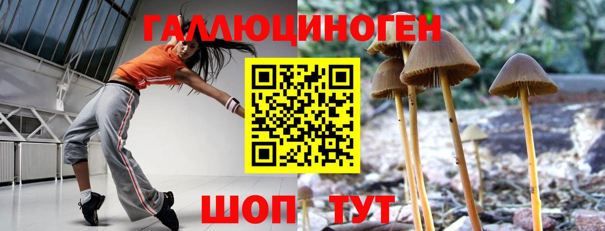 Полевской  Галлюциногенные грибы мухоморы  Вход с VPN 