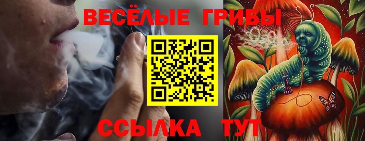 Галлюциногенные грибы Cubensis Полевской